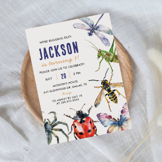 Nature Insect Bugs 1. Geburtstags-Party Einladung