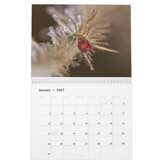 Nature inspired 2026 calendar kalender (Jan 2027)