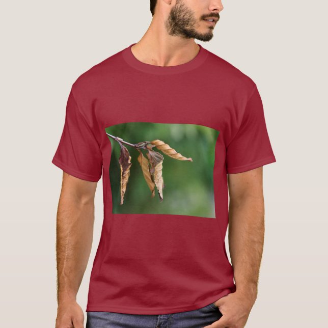 Nature-Inspired Leaves Print Tee (Vorderseite)