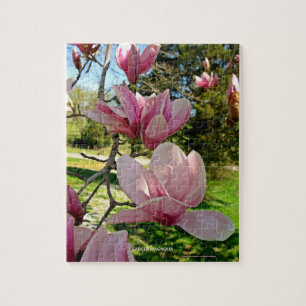 Nature Inspiriert Pink Saucer Magnolia Bloom Puzzle