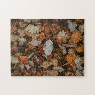 Nature Jigsaw Puzzle Herbst Jigsaw Puzzle Extreme