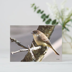 Nature Mitteilungskarten Vogelkarten
