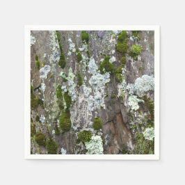 Nature Moss Lichen Camouflage Foto Serviette