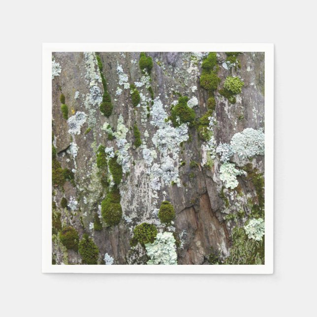 Nature Moss Lichen Camouflage Foto Serviette (Vorderseite)