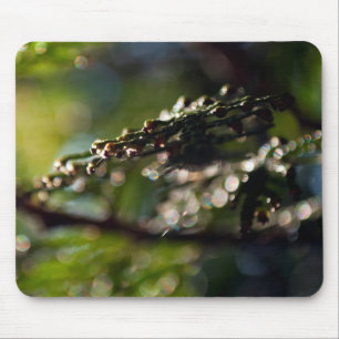 Nature Mouse Pad mit Maco Cedar Ast Foto Mousepad