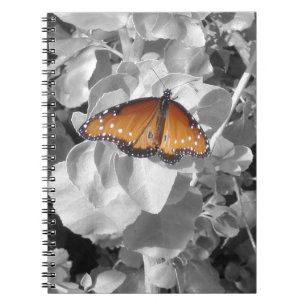 Nature Orange Monarch Butterfly Foto Schwarz-weiß Notizblock