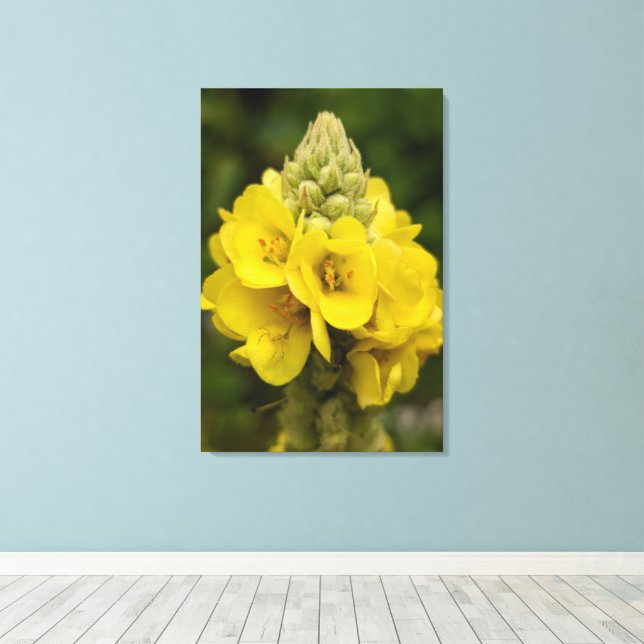Nature Photography Canvas Print Leinwanddruck (Insitu (Holzboden))