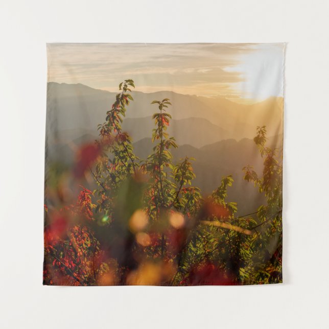 NATURE PHOTOGRAPHY OF GREEN TREES OVERLOOKING MOUN WANDTEPPICH (Vorderseite)