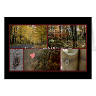 Nature Postcard Northwood Wisconsin Saison