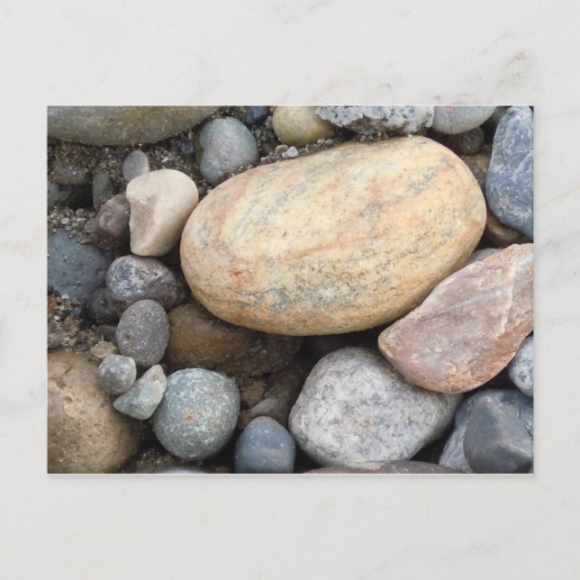 Nature Postcards Postkarte (Vorderseite)