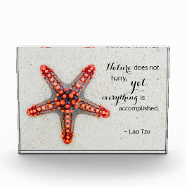 Nature Print Starfish mit Lao Tzu Quote Fotoblock
