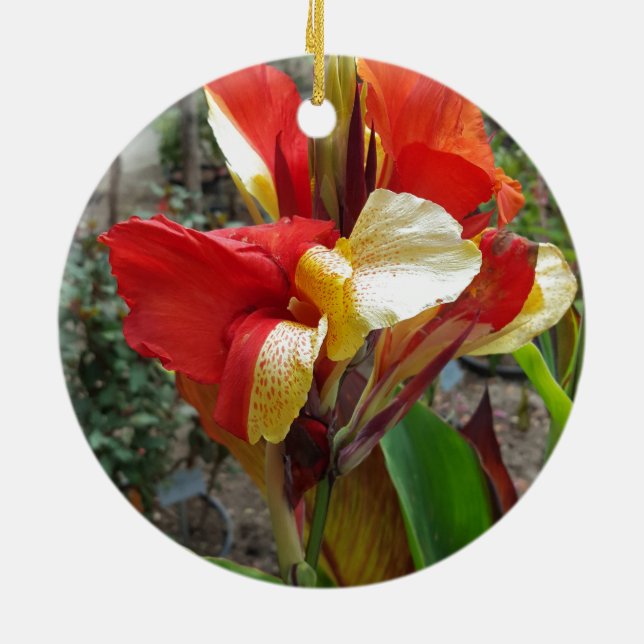 Nature Red Flower Floral Fotograf Keramikornament (Hinten)