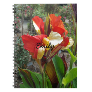 Nature Red Flower Floral Fotograf Notizblock