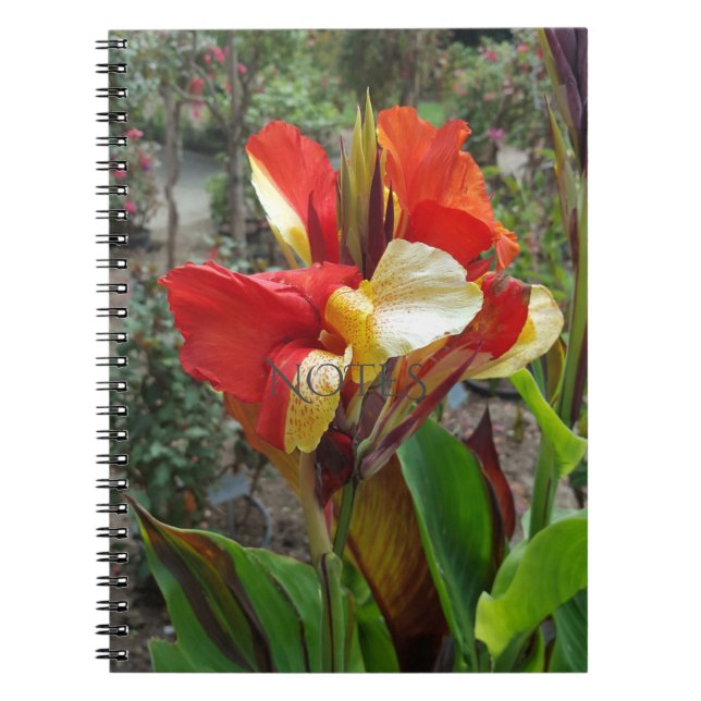 Nature Red Flower Floral Fotograf Notizblock (Vorderseite)