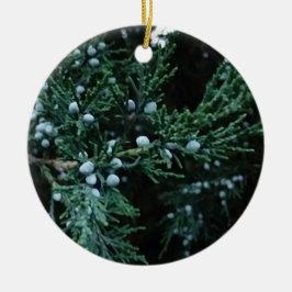 Nature Ripening Juniper Berries Keramik Ornament