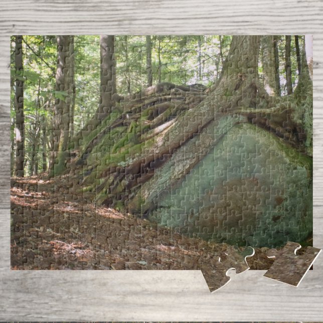 Nature’s Resilience Tree on Boulder Photographic Puzzle (Von Creator hochgeladen)