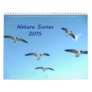 Nature Scenes 2015 Calendar Kalender