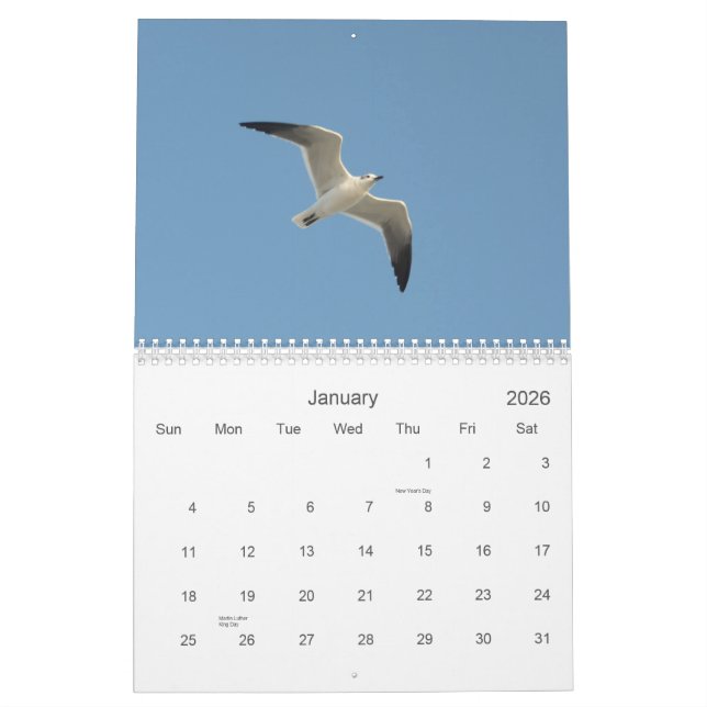 Nature Scenes 2015 Calendar Kalender (Jan 2026)