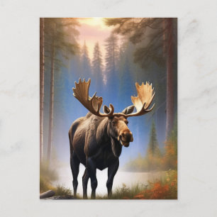 *~* Nature STREAM AP49 MOOSE Forest Postkarte