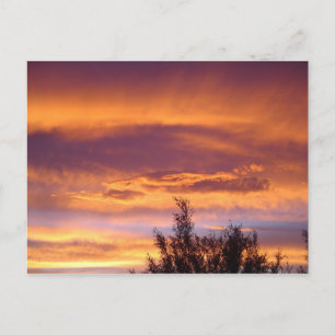 Nature Sunsets Postkarte
