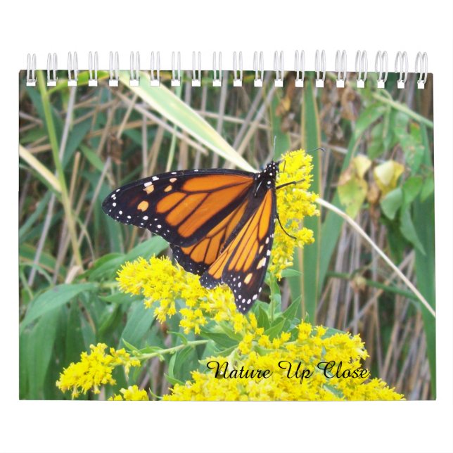 Nature up Nah Kalender (Titelbild)