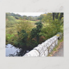 nature way of impersonating animalHoliday Postcard Feiertagspostkarte