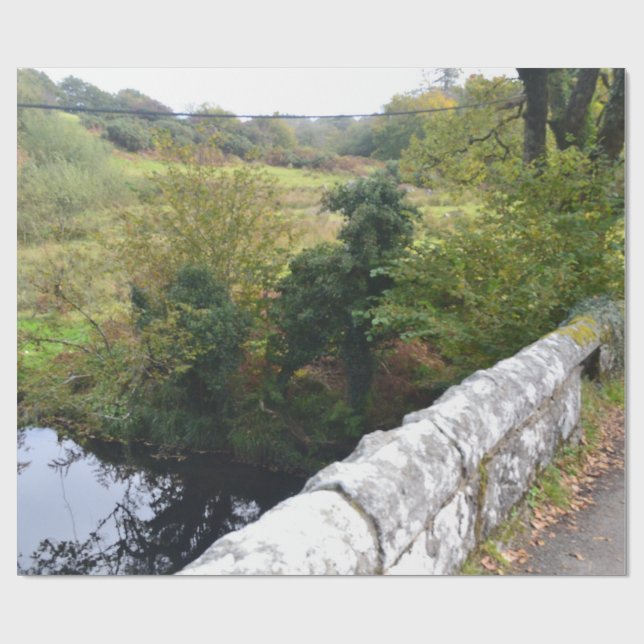 nature way of impersonating animals geschenkpapier (Flach)