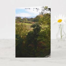 nature way of impersonating animals karte