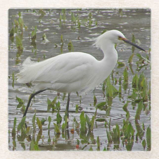 Nature White Wading Bird Foto Grosses Egret Glasuntersetzer (Vorderseite)