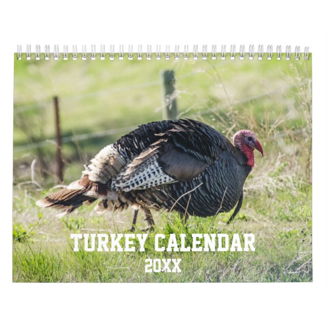 Nature Wild Turkey Kalender (Titelbild)