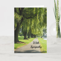 Nature Willow River Pathway Foto Beileid