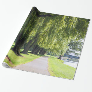 Nature Willow River Pathway Foto Geschenkpapier