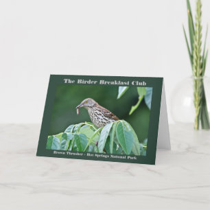 Naturefotografie Brown Thrasher Vogelbeobachter Karte