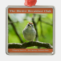 Naturefotografie Chipping Sparrow Vogelbeobachter