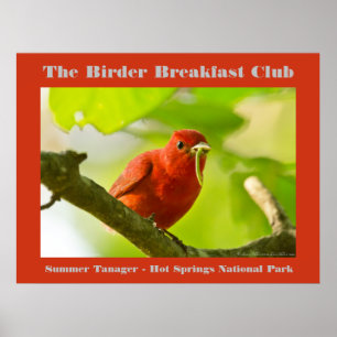 Naturefotografie Summer Tanager Vogelbeobachter Poster