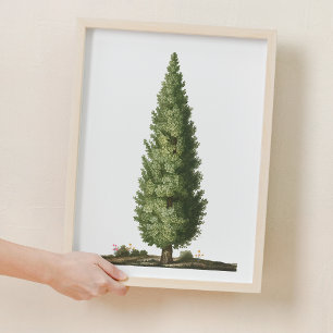 Natureiche Bäume Holz Kinderzimmer Dekoration