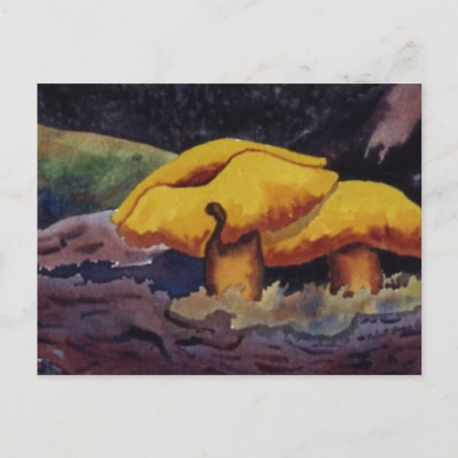 Natureinrichtungen Postkarte (Vorderseite)