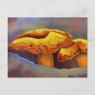 Natureinrichtungen Postkarte