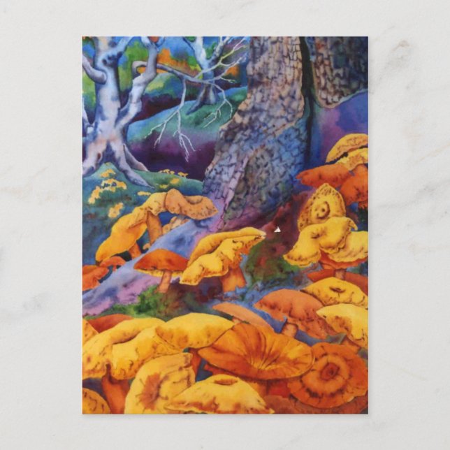 Natureinrichtungen Postkarte (Vorderseite)