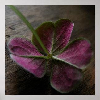 'naturelovesyou' Canvas Print Poster