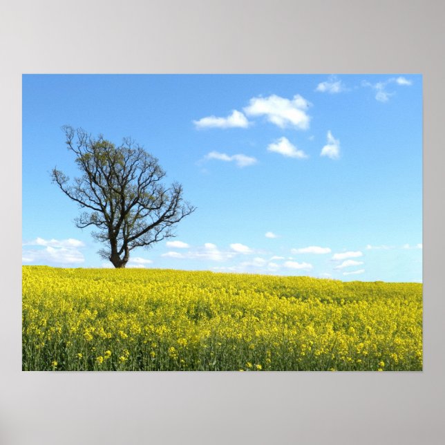 Natureposter Poster (Vorne)