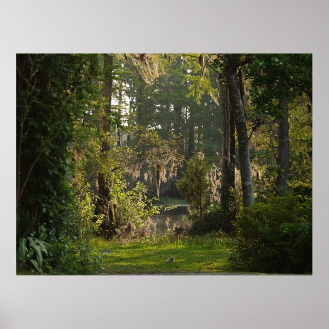 Natures Beauty Poster (Vorne)