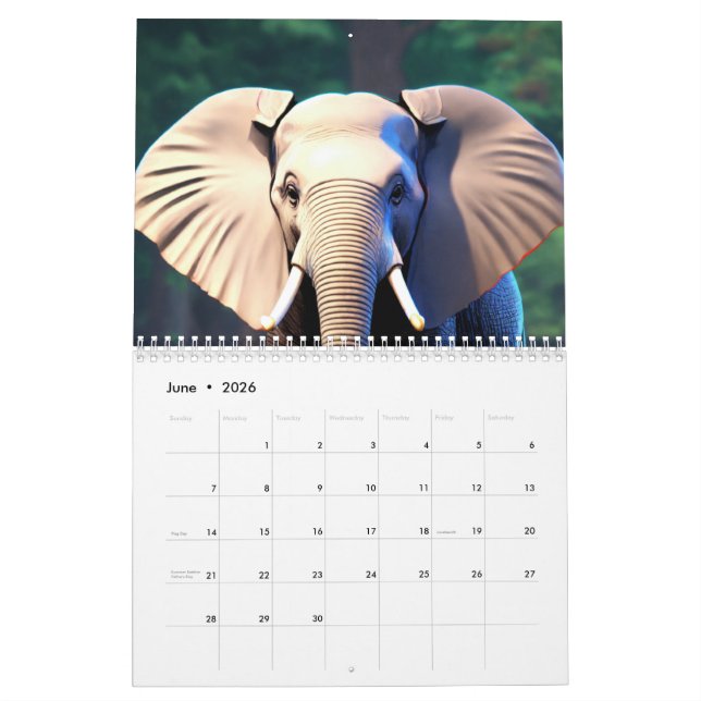 "Nature's Bliss: A Year in Pictures" Kalender (Jun 2026)