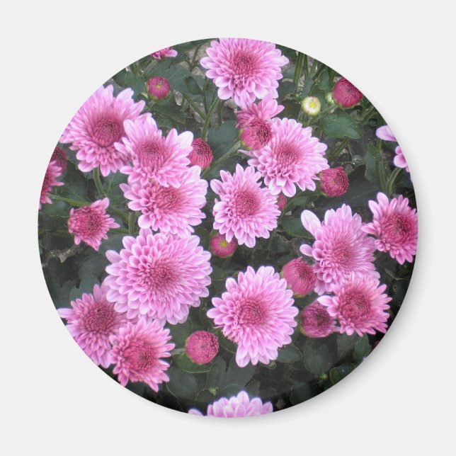 Nature's Bouquet: Frühjahrsmagnet Magnet (Vorne)