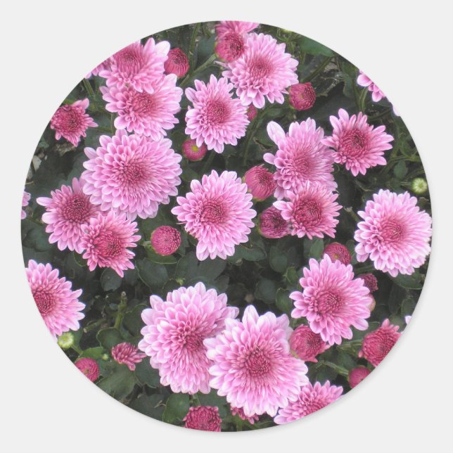 Nature's Bouquet: Frühlingsaufkleber Runder Aufkleber (Vorderseite)