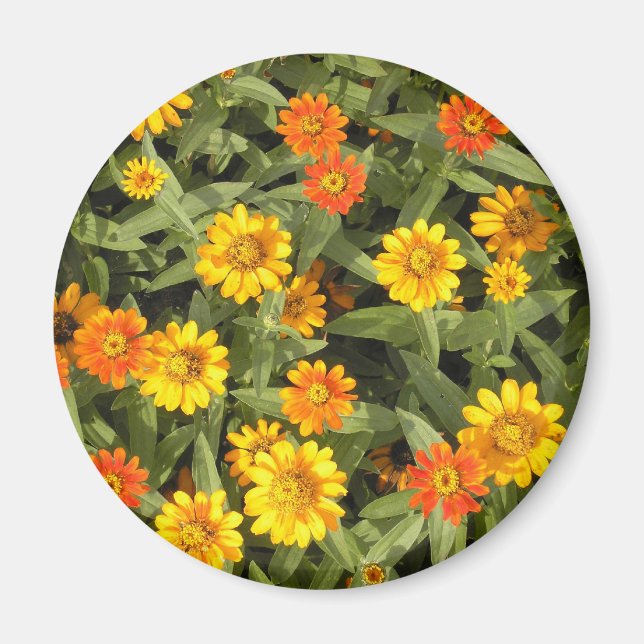 Nature's Bouquet: Herbstmagnet Magnet (Vorne)