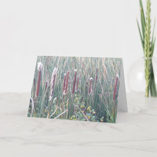 "Nature's Corndogs" erhalten Well Card Karte