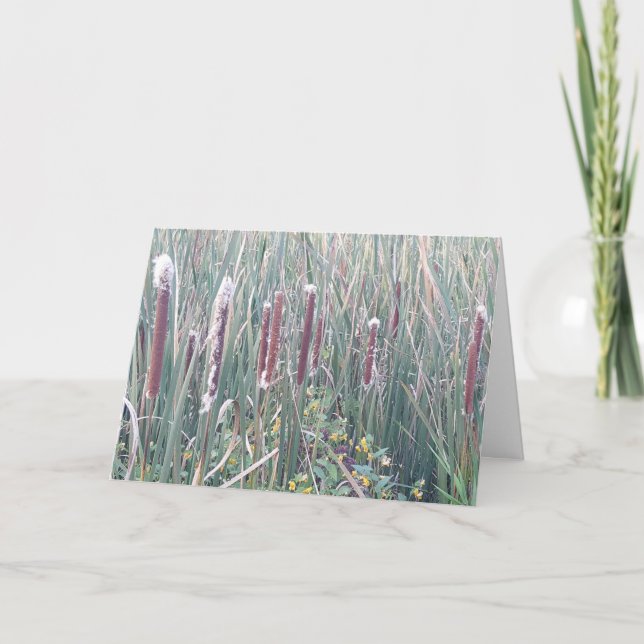 "Nature's Corndogs" erhalten Well Card Karte (Vorderseite)