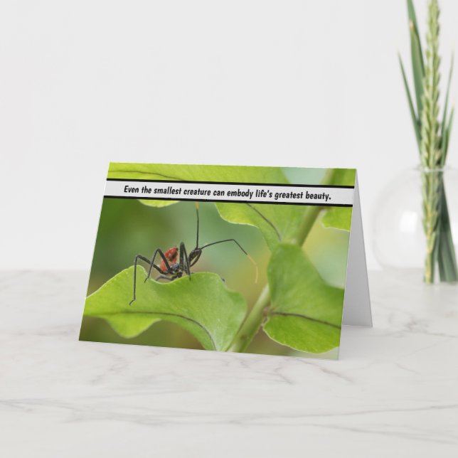 "Nature's Delicate Balance - Insekt auf Leaf" Dankeskarte (Vorderseite)
