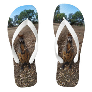 "Nature's Fast: A Wallaby's Snack Break" Flip Flops